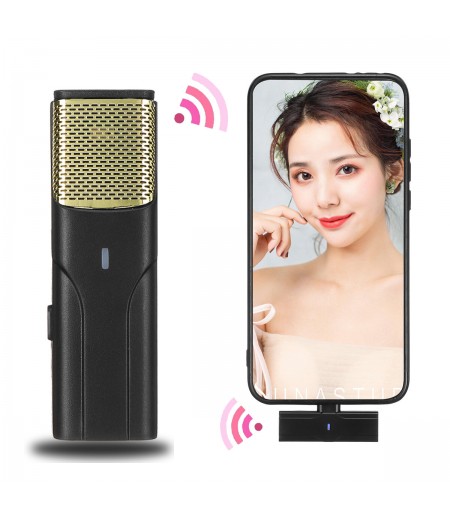 Type-C/ IOS Interface Noise Reduction Wireless Lavalier Microphone Clip-on Lapel Mic For iPhone Audio Video Recording - 001